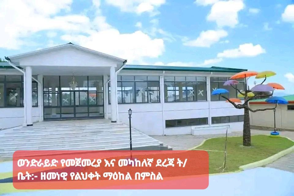 Office Design